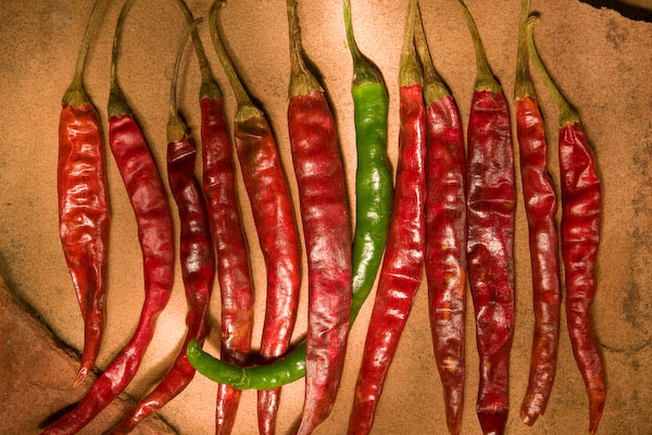 Chilaca chile peppers © Ryan Stevenson / All Rights Reserved