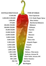 Heat of Chilis